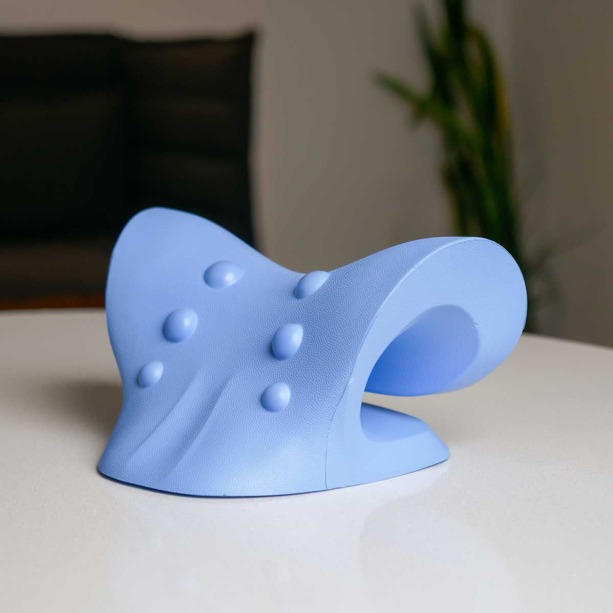 Chiro Pro Neck Support