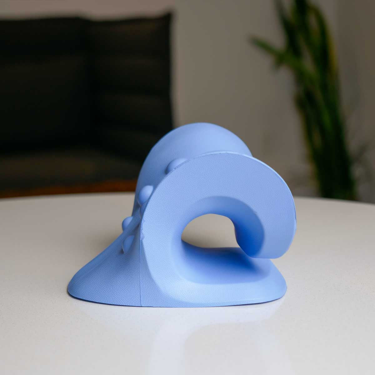 Chiro Pro Neck Support