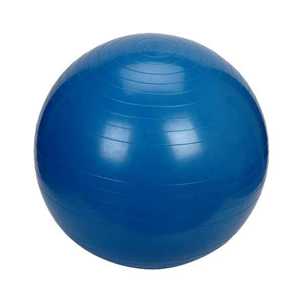 Fitness Ball Chair with Back Rest
