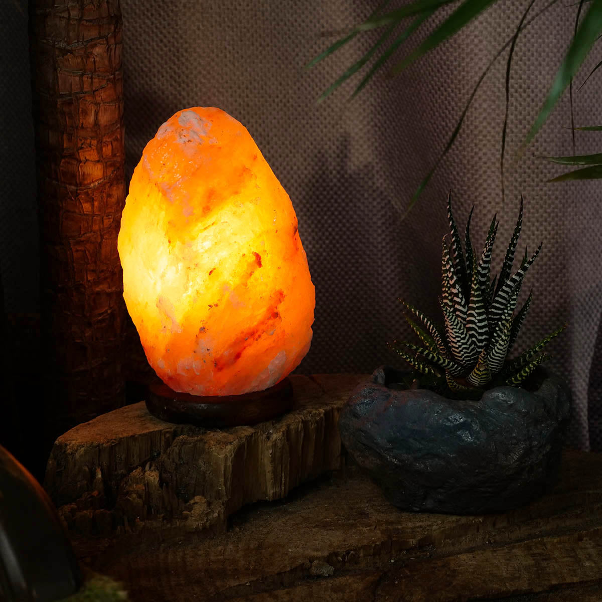 Himalayan Salt Lamps