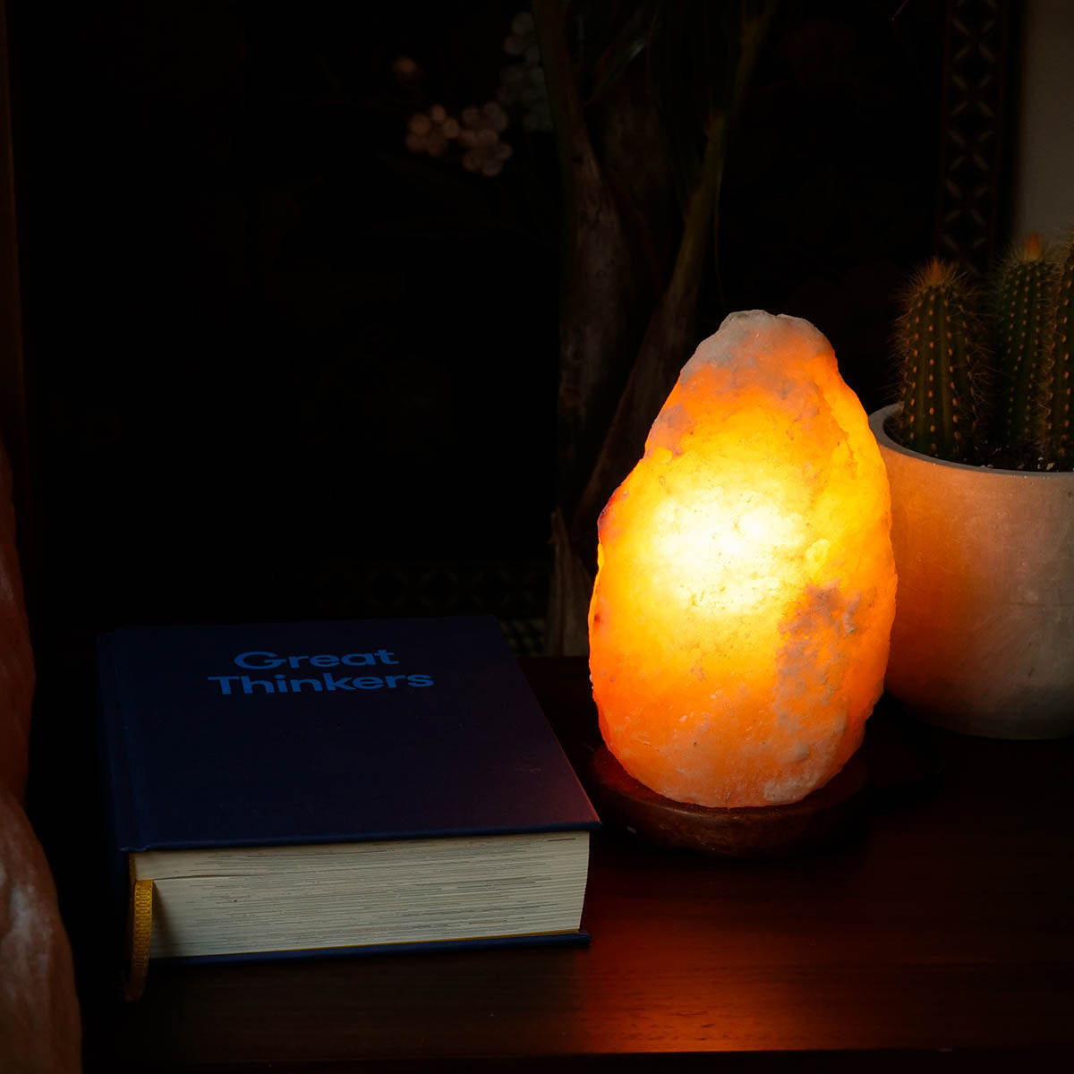 Himalayan Salt Lamps