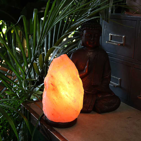 Wholesale Himalayan Salt Lamps (Various Sizes 1.5kg - 22kg)