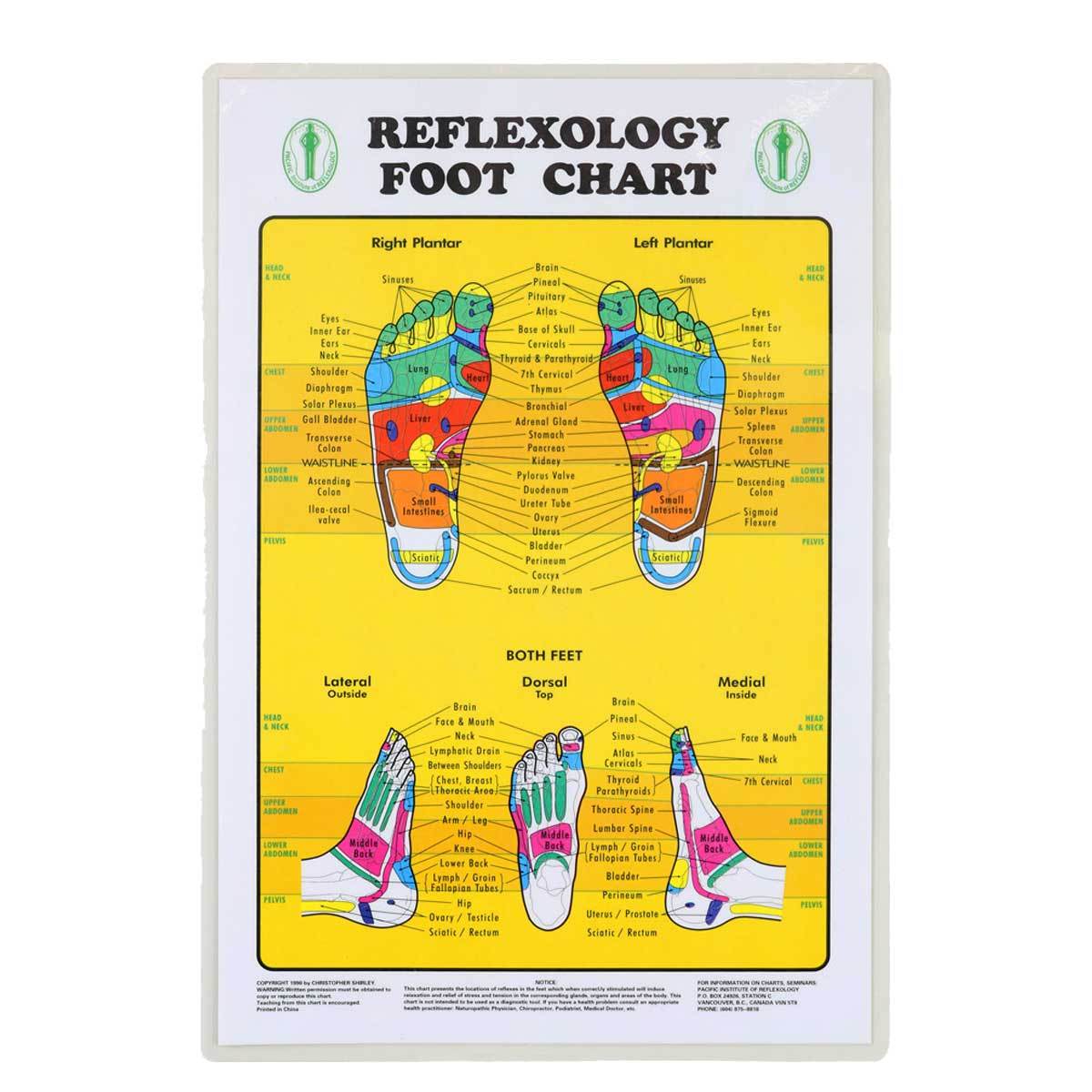 Wholesale Foot Reflexology Chart